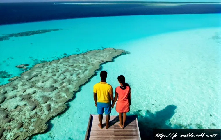 Home 17 몰디브 여행과 기후 변화 - Photorealistic aerial view of a Maldivian coral atoll at sunrise, a small French couple in modest tr...